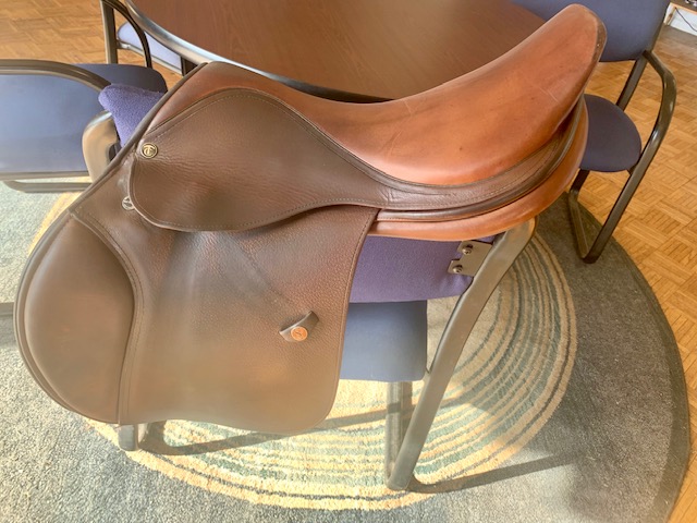 saddle