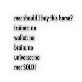 horse meme.jpg