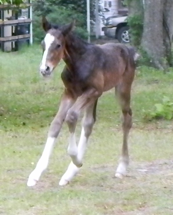 DSCN4783.JPG