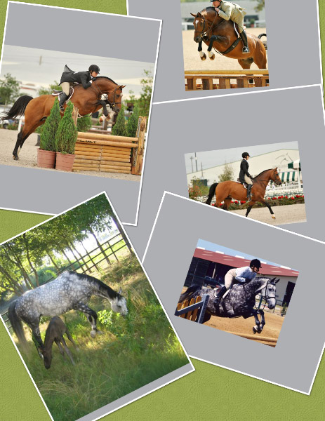 Hank Aspen collagesml.jpg