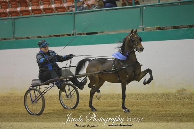 zippy state fair