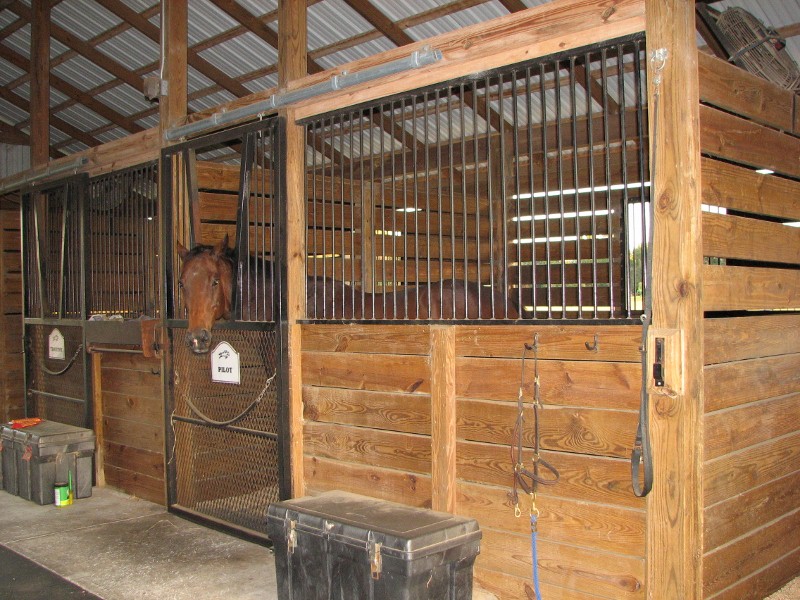 Barn october 25 031 (800x600).jpg