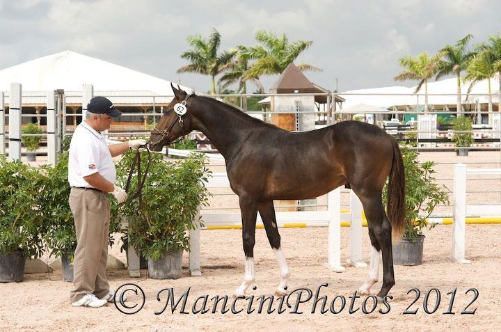 Ed Venture at WEF.jpg
