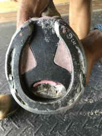 New Front Soles.jpg