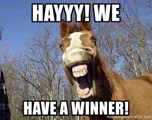 winner horse
