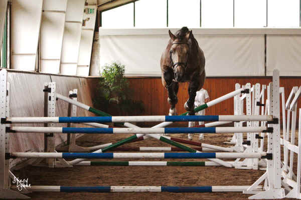 laddiejump adv.jpg