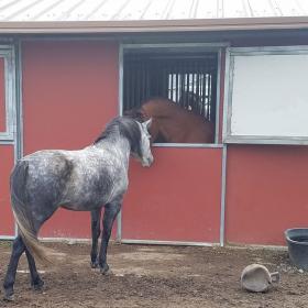 Barn door.jpg