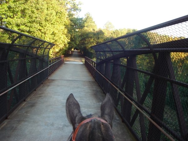 P & Me Over The Bridge.jpg