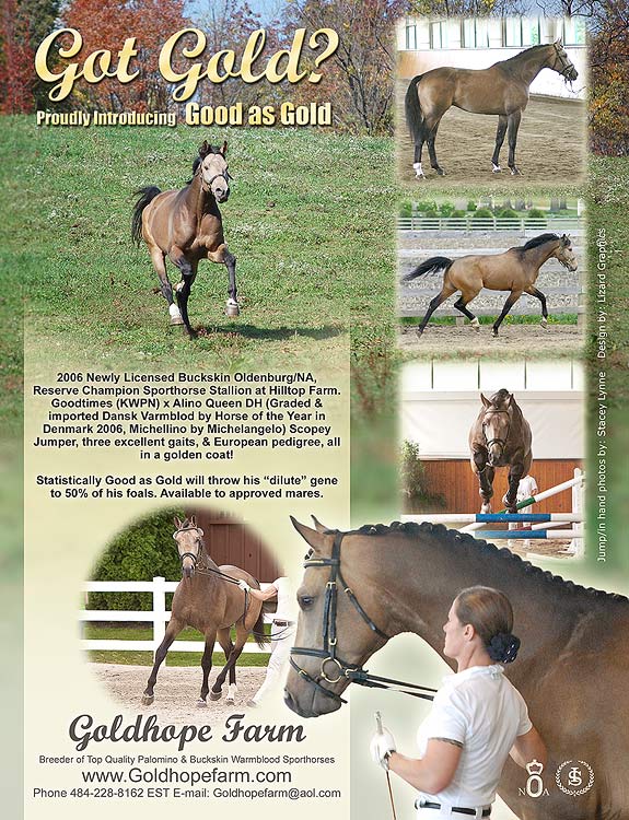 Good as Gold ad web.jpg