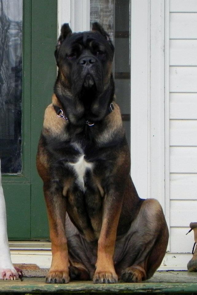 Brook at 7 months.jpg