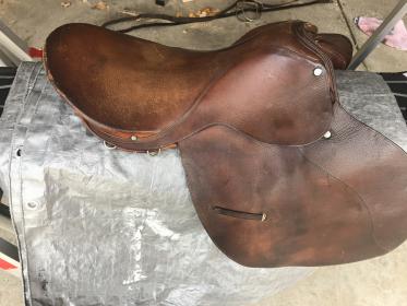 saddle 1.jpg