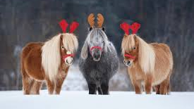 santaponies