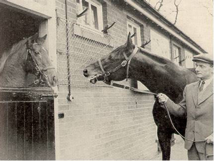 ribot.jpg