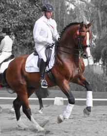 10_newzealand_noble_highlander_01.jpg