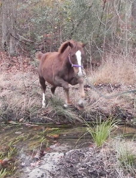 zumba jumping the creek.JPG
