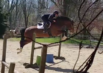 wally_jump_4-18-2016 2.0.jpg