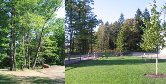 Before Creek Bed.jpg