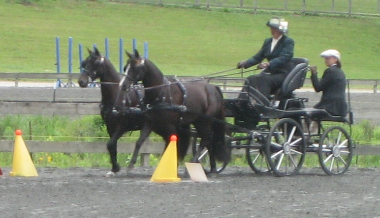 cones.jpg