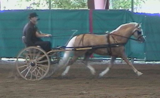 mardi2007pasodrive01.jpg