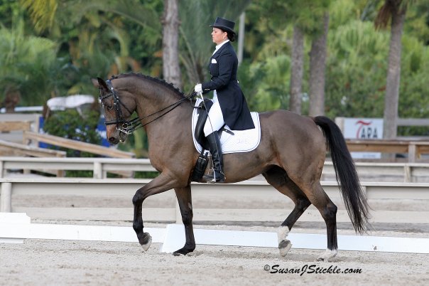 Grande Celeste Pam Am Selection trials.jpg