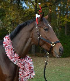Christmas Phinney 037.jpg