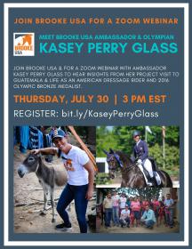 Brooke USA Kasey Perry Glass Zoom.jpg