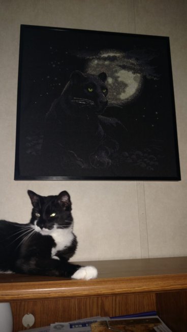 Pilgrim and Cross Stitch Panther