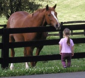 erinandsommerset28229.jpg