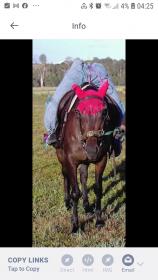 Screenshot_20201101-042528_Photobucket.jpg