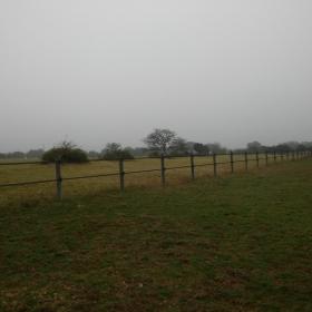 Horseguard fencing.jpg