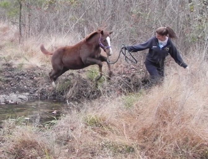 zumba jumping the creek2.JPG