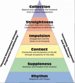 Pyramid-of-training_color.jpg