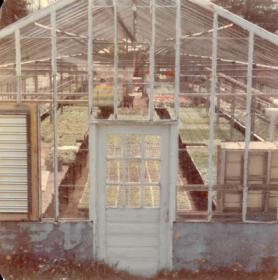 1976.jpg