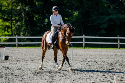 wally_sara_trot_front.jpg