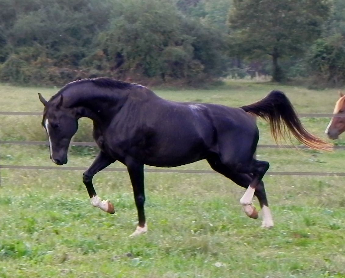 291.JPG