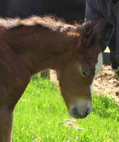 PICT0033.JPG
