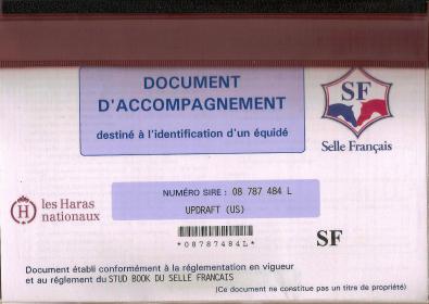Registration UPDRAFT Selle Francais 001.jpg