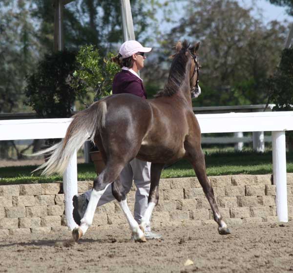 myrlin_1227.jpg