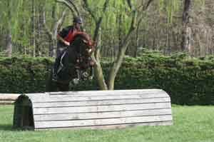 IMG_3513w.jpg
