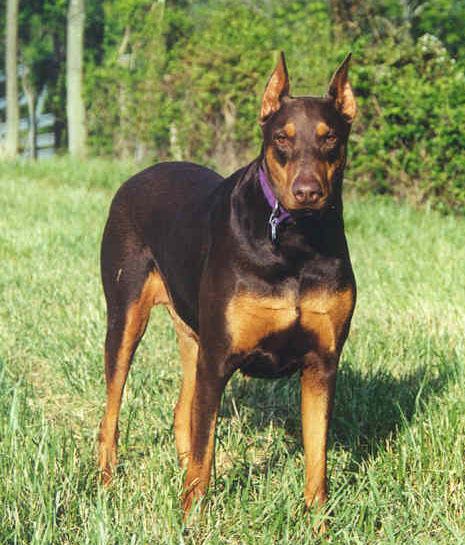 etta.jpg