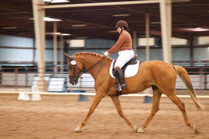 RRII2017_Trot.jpg