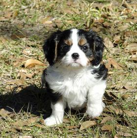 6wks (21).jpg