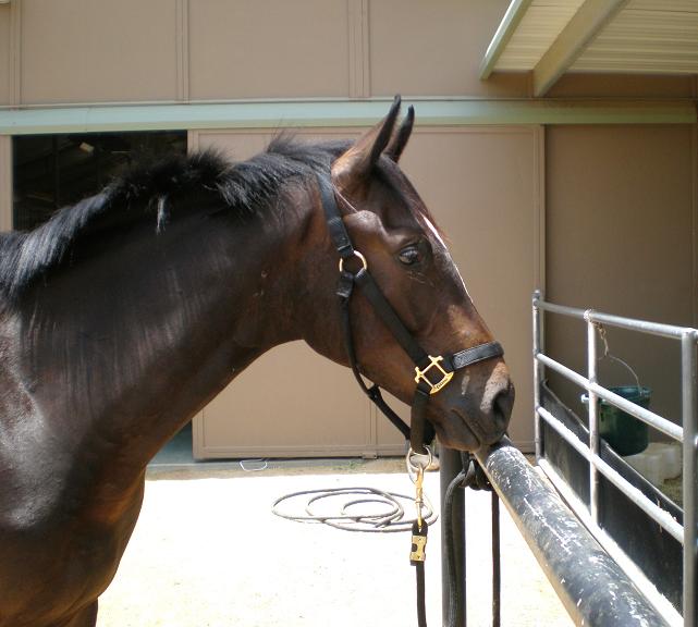 Ace june14 024.JPG