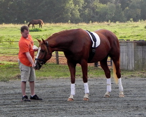 Etch-A-Sketch by Escapade Worth A Shot Farm.jpg