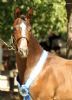 13243-ID_24_small.jpg