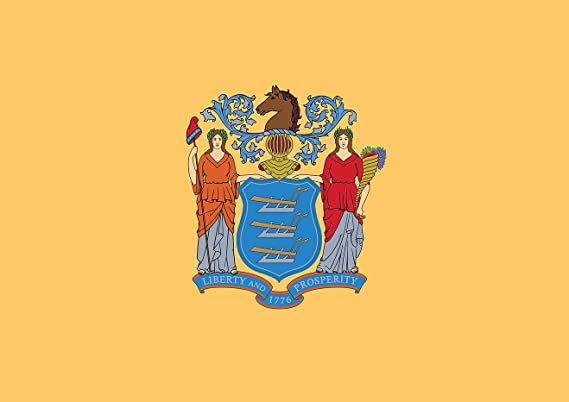 NJ Flag
