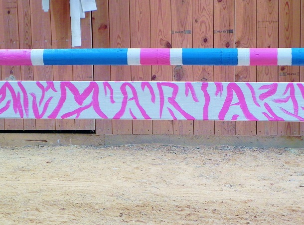 homemade horse jump plank pink zebra.jpg