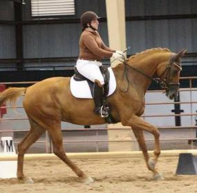 Canter_fromMissy.jpg