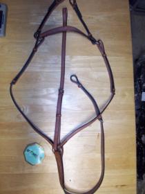 Breastplate.jpg