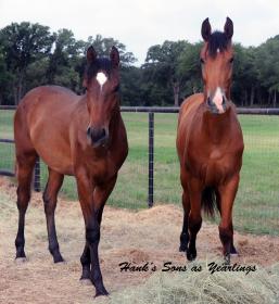 Junior and Jerry 6 14_yearling label.jpg